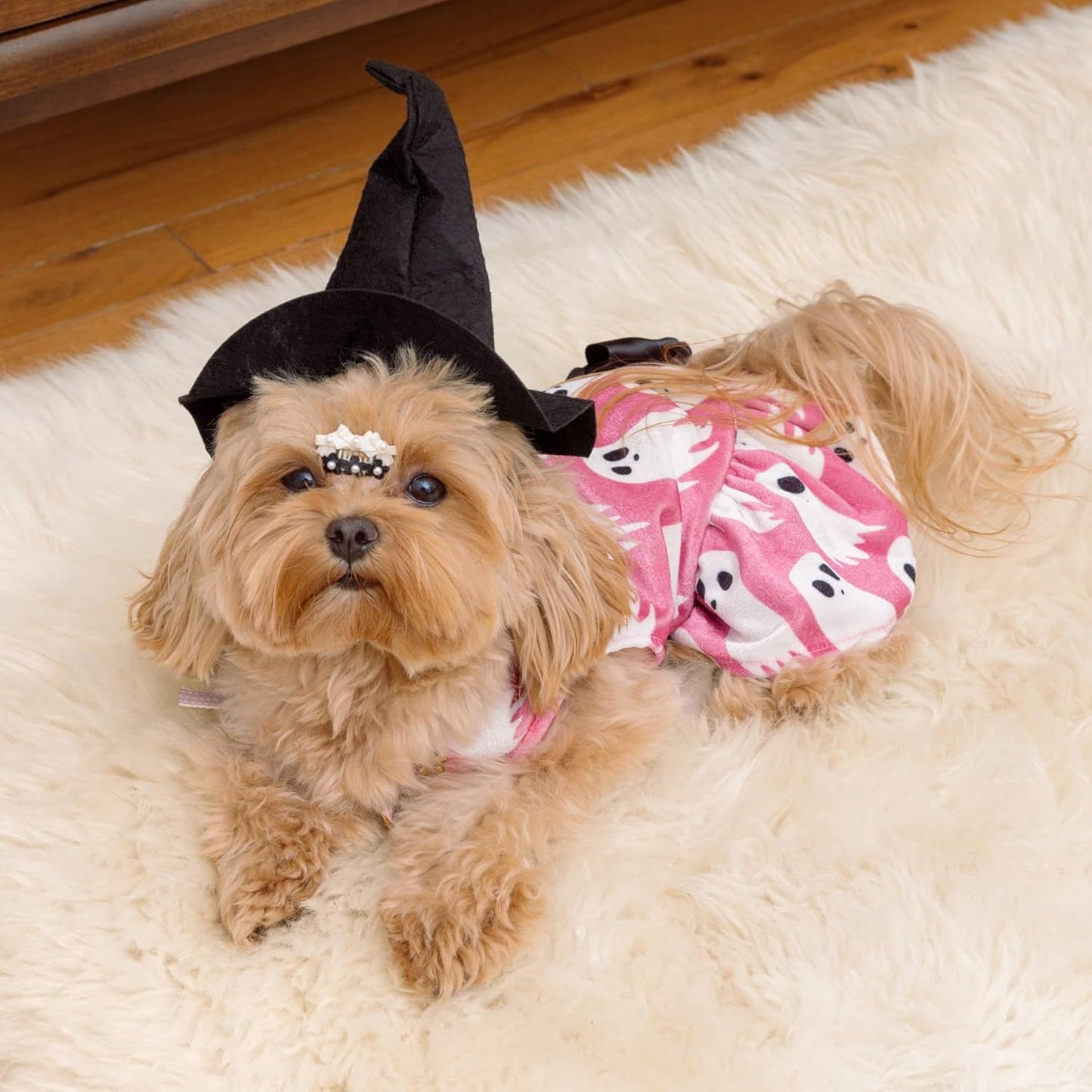 Halloween Ghost Dog Dress, Funny Dog Halloween Costumes, Doggy Clothes for Small Dogs Girl, Pet Apparel, Pink, White, Black, Medium