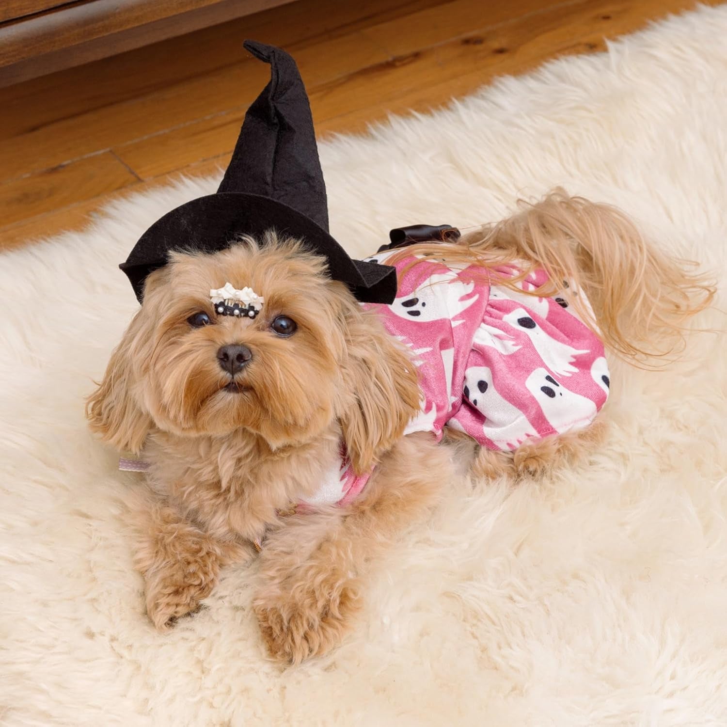 Halloween Ghost Dog Dress, Funny Dog Halloween Costumes, Doggy Clothes for Small Dogs Girl, Pet Apparel, Pink, White, Black, Medium